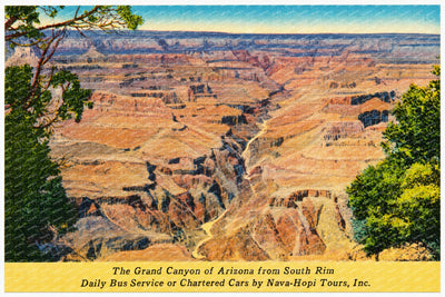 Grand Canyon, AZ: The Grand Canyon of Arizona from South Rim, daily bus service or chartered cars by Nava-Hopi Tours, Inc.
