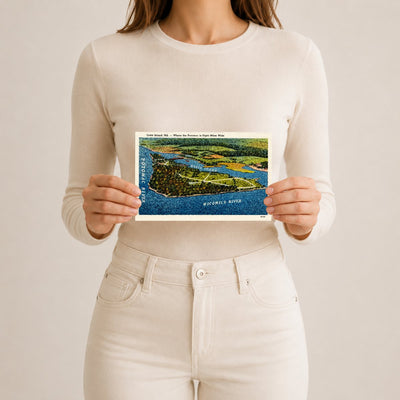 Cobb Island, MD -- where the Potomac is eight miles wide — Vintage Maryland Postcard