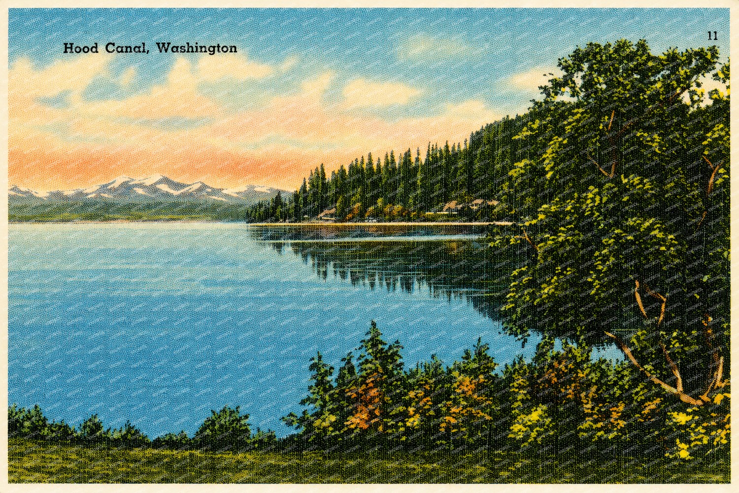 Hood Canal, WA: Historic View