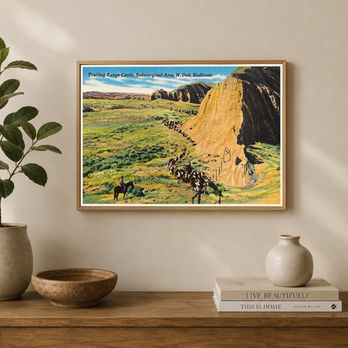Little Badlands, ND: Trailing range cattle, submarginal area, N. Dak. Badlands