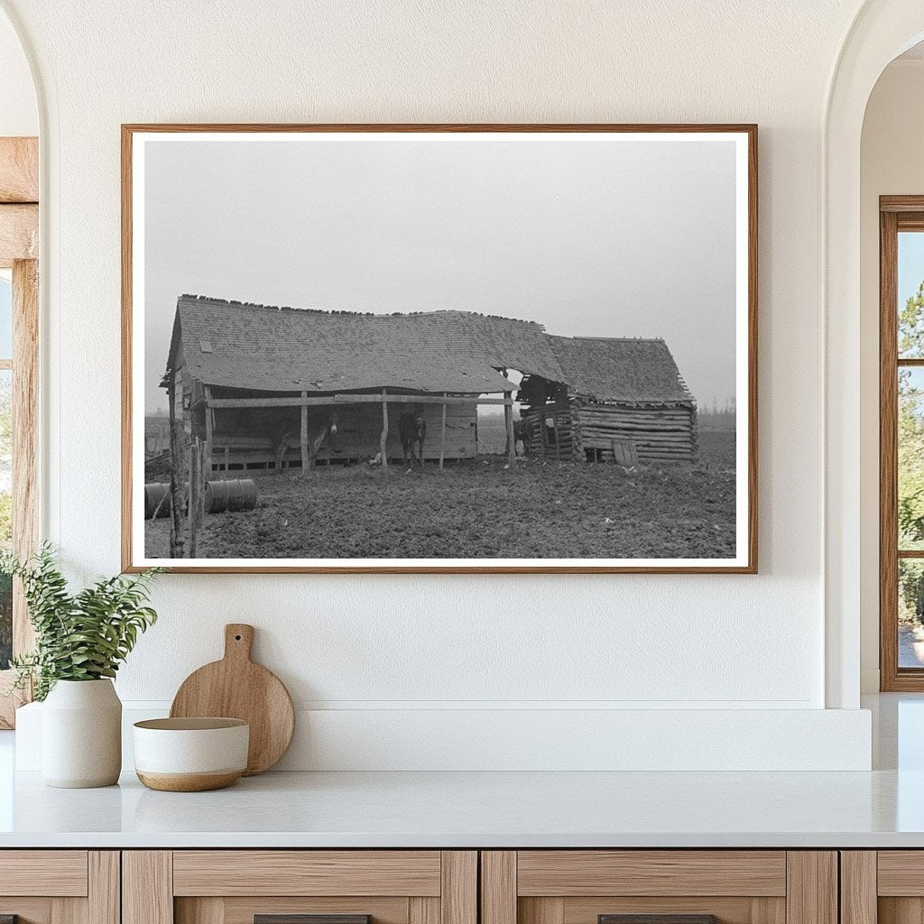 Back Door of Sharecroppers House Pace Mississippi 1939 - Available at KNOWOL