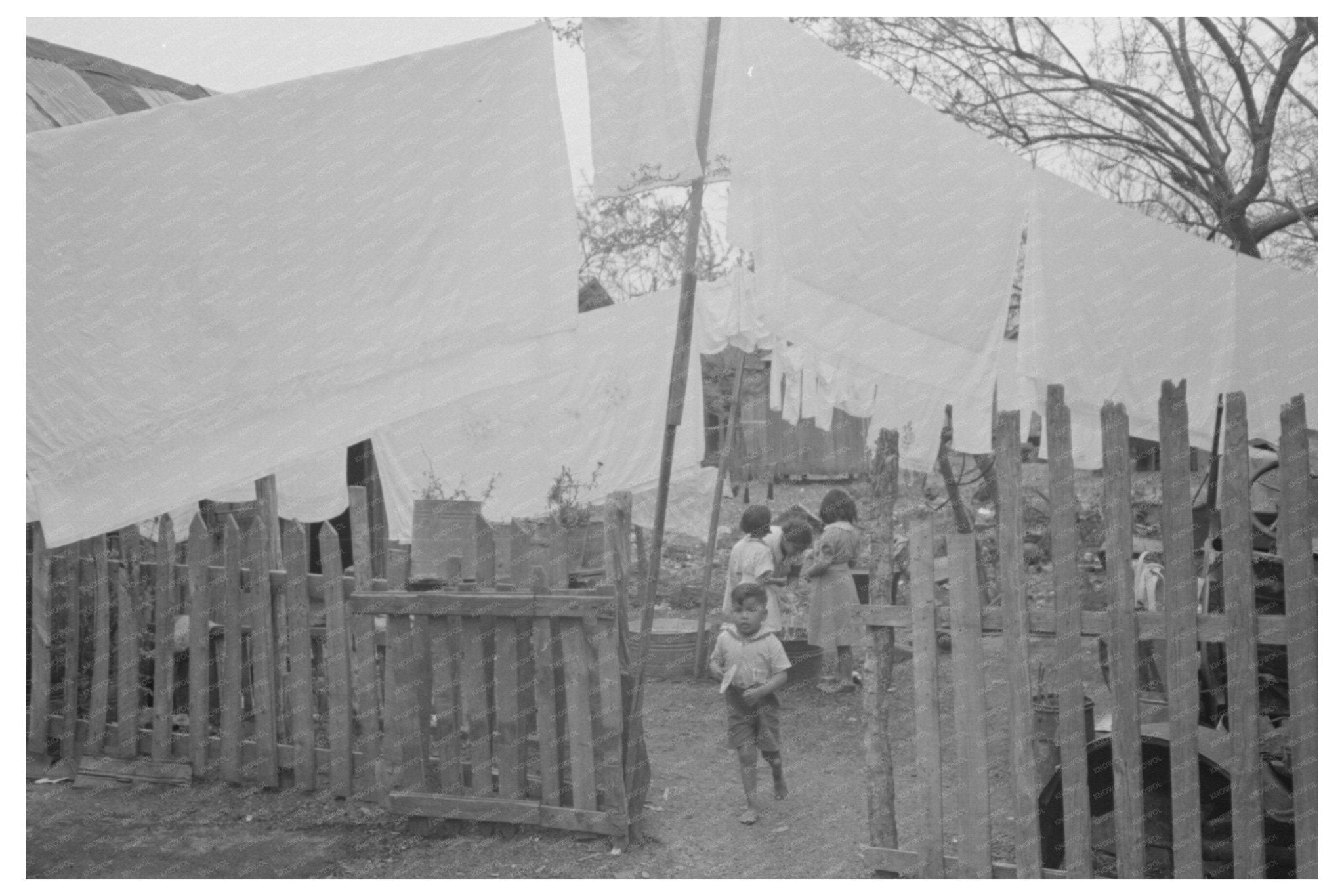 Backyard Laundry in San Antonio Texas March 1939 - Available at KNOWOL