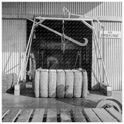 Baled Cotton Exiting Kaweah Delta Gin 1938 - Available at KNOWOL