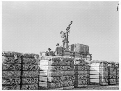 Baled Cotton Loading at Kaweah Delta Gin 1938 - Available at KNOWOL