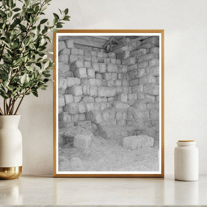 Baled Hay Storage at Casa Grande Valley Farms 1940 - Available at KNOWOL