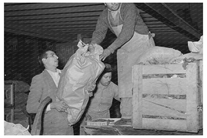 Bananas Loaded on Truck at San Antonio Market March 1939 - Available at KNOWOL