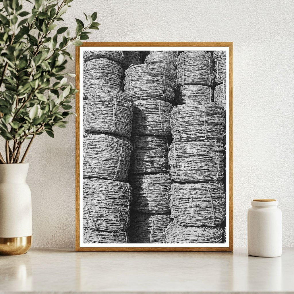 Barbed Wire Landscape in Pointe Coupee Parish 1938 - Available at KNOWOL