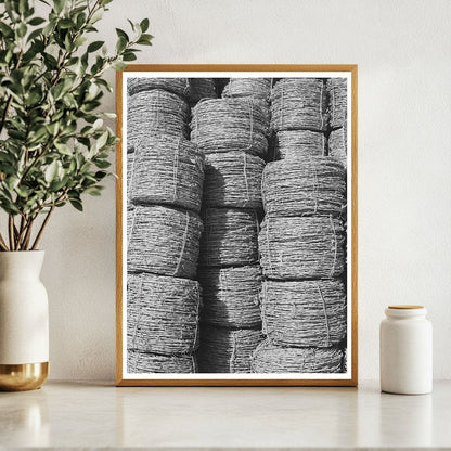 Barbed Wire Landscape in Pointe Coupee Parish 1938 - Available at KNOWOL