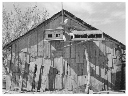 Barn and Pigeon Cote of Mexican Laborer Texas 1939 - Available at KNOWOL