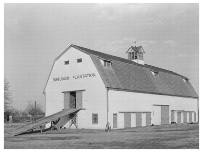 Barn at Sunflower Plantation Bolivar County Mississippi 1939 - Available at KNOWOL