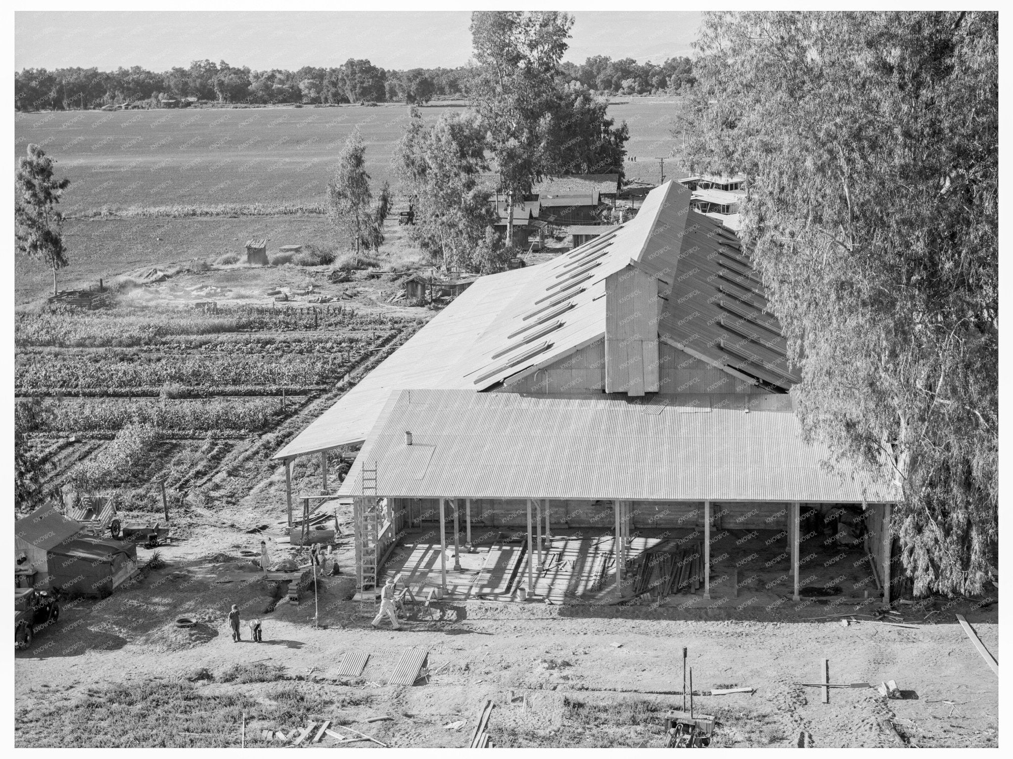 Barn Construction at Mineral King Farm Cooperative 1939 - Available at KNOWOL