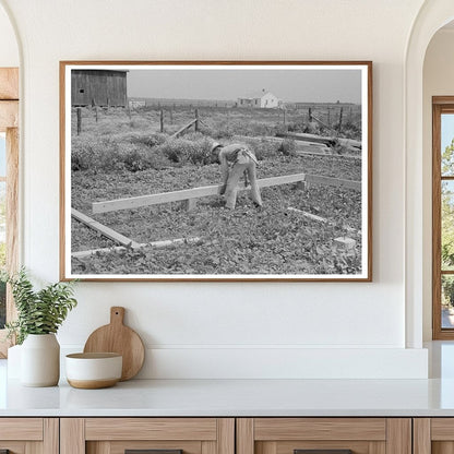 Barn Construction at Southeast Missouri Farms May 1938 - Available at KNOWOL