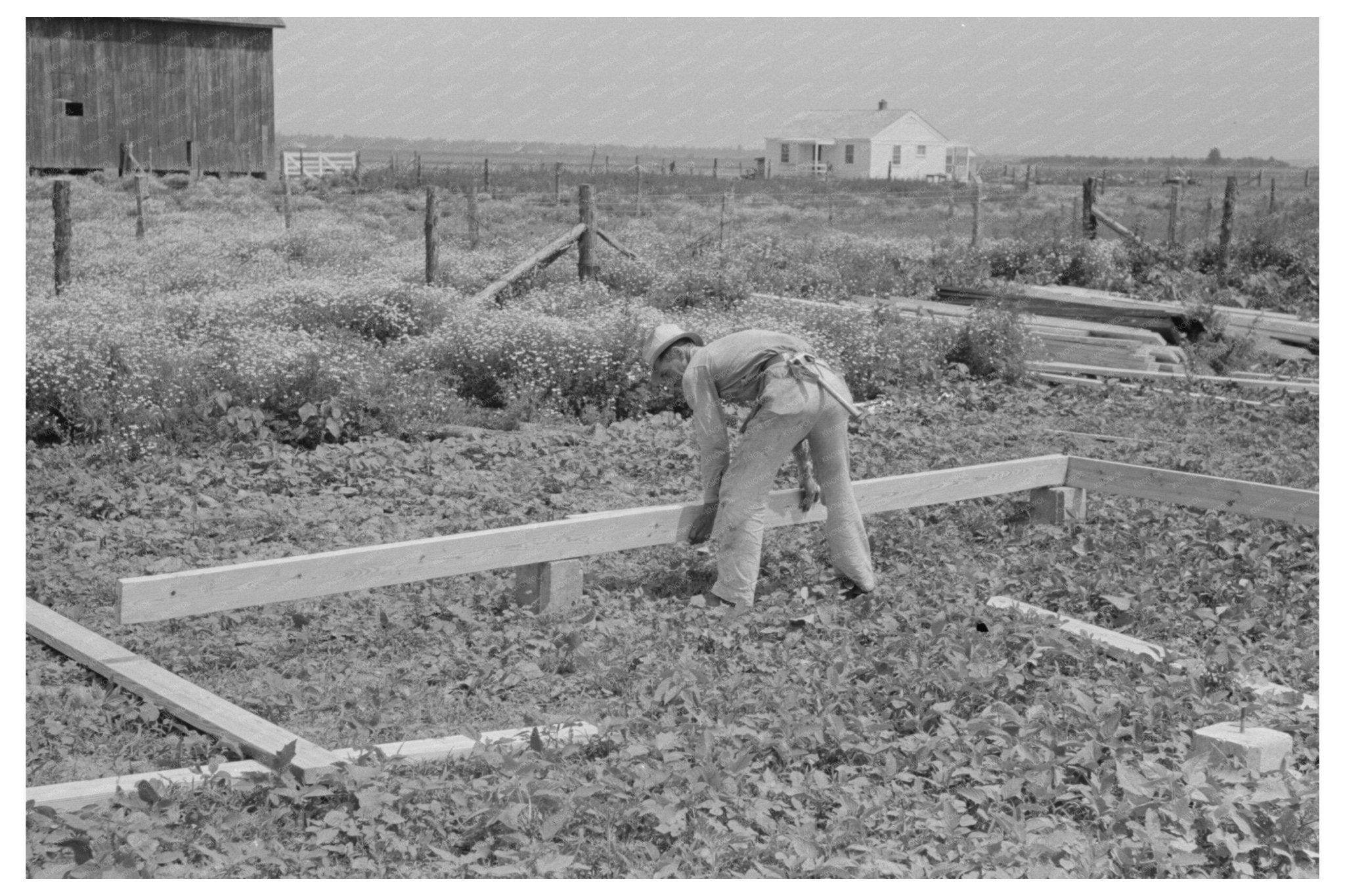 Barn Construction at Southeast Missouri Farms May 1938 - Available at KNOWOL