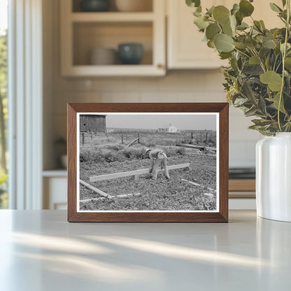 Barn Construction at Southeast Missouri Farms May 1938 - Available at KNOWOL