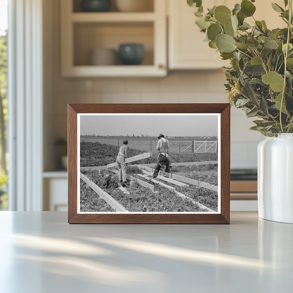 Barn Construction with Precut Girders May 1938 Missouri - Available at KNOWOL