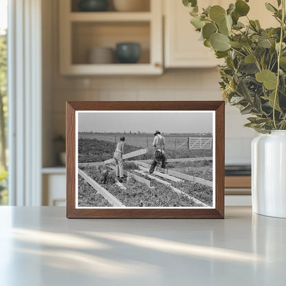 Barn Construction with Precut Girders May 1938 Missouri - Available at KNOWOL