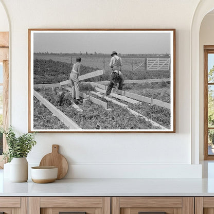 Barn Construction with Precut Girders May 1938 Missouri - Available at KNOWOL