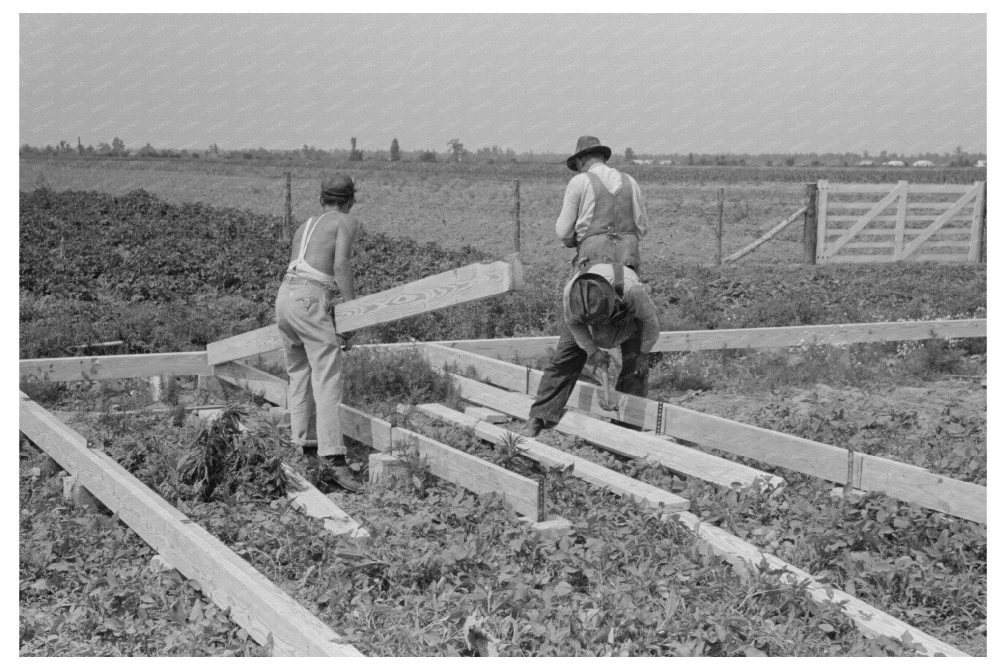 Barn Construction with Precut Girders May 1938 Missouri - Available at KNOWOL