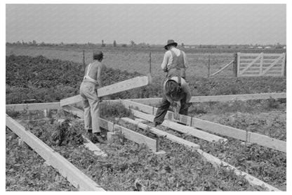 Barn Construction with Precut Girders May 1938 Missouri - Available at KNOWOL