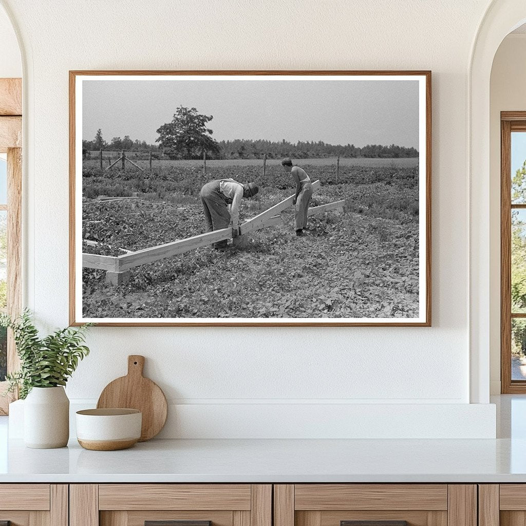 Barn Erection Process in Southeast Missouri May 1938 - Available at KNOWOL