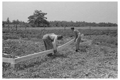 Barn Erection Process in Southeast Missouri May 1938 - Available at KNOWOL