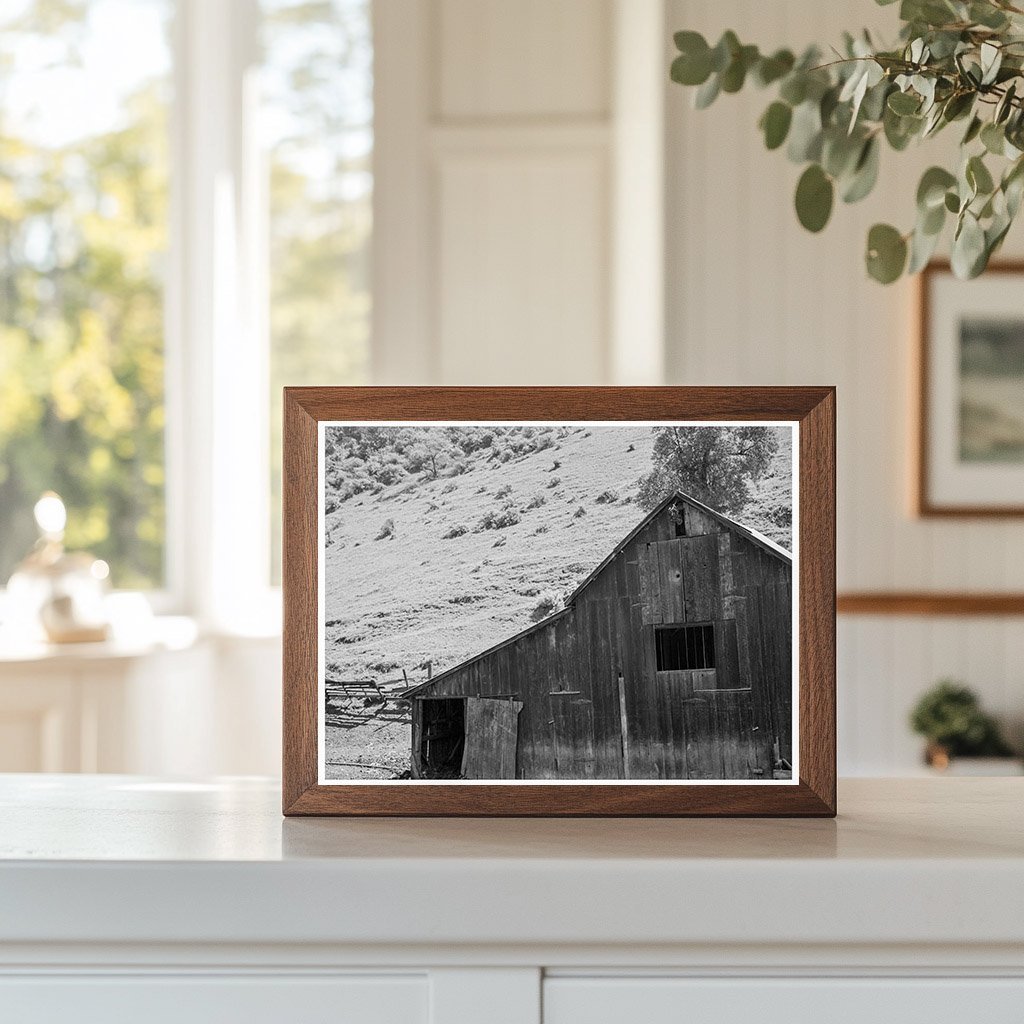 Barn in Valley Behind Mission San Jose California 1939 - Available at KNOWOL