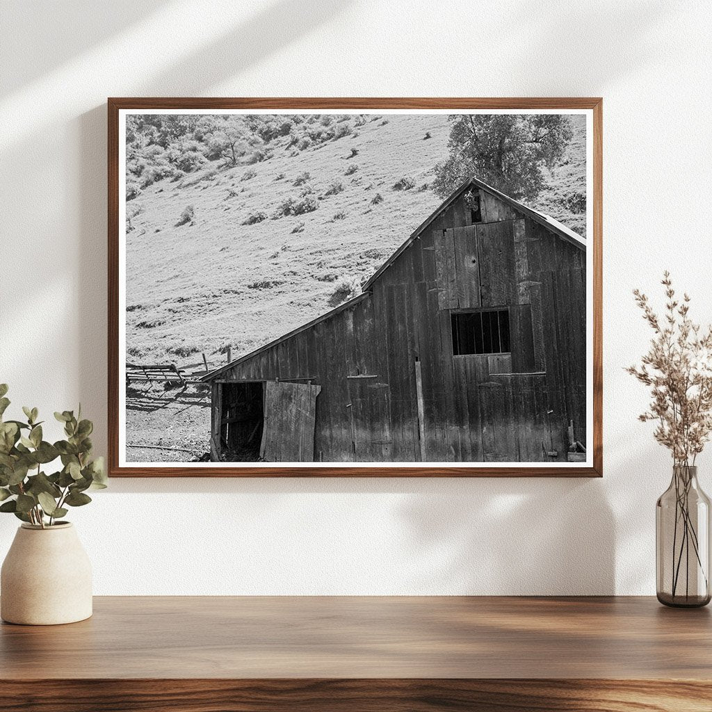 Barn in Valley Behind Mission San Jose California 1939 - Available at KNOWOL