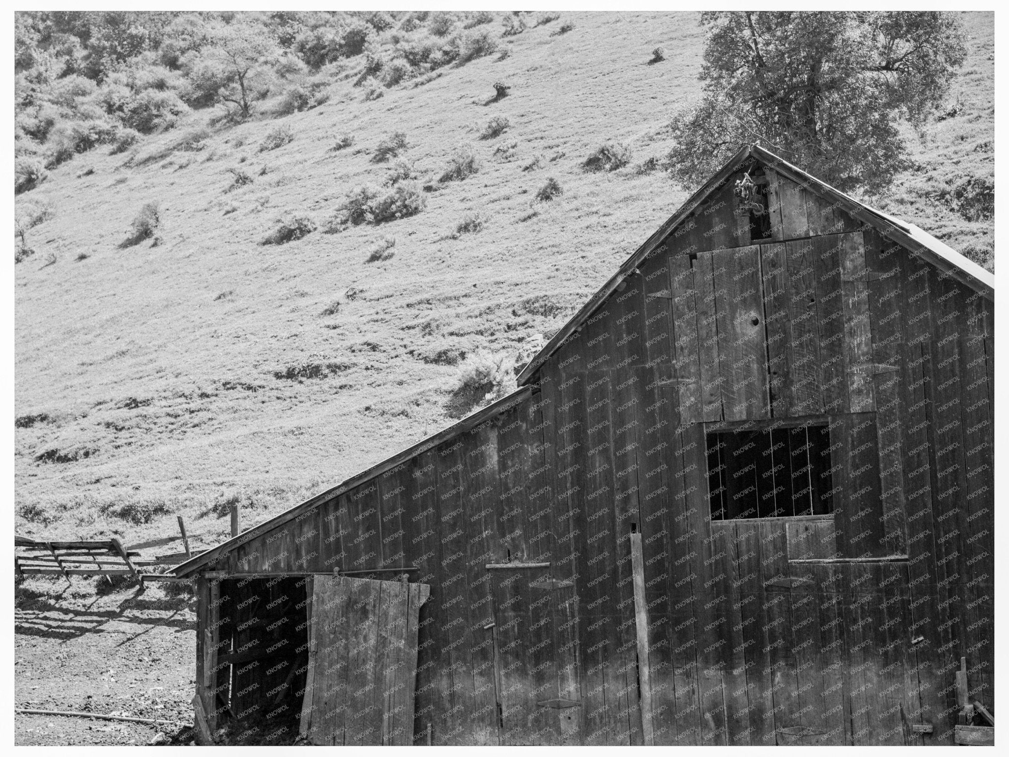 Barn in Valley Behind Mission San Jose California 1939 - Available at KNOWOL