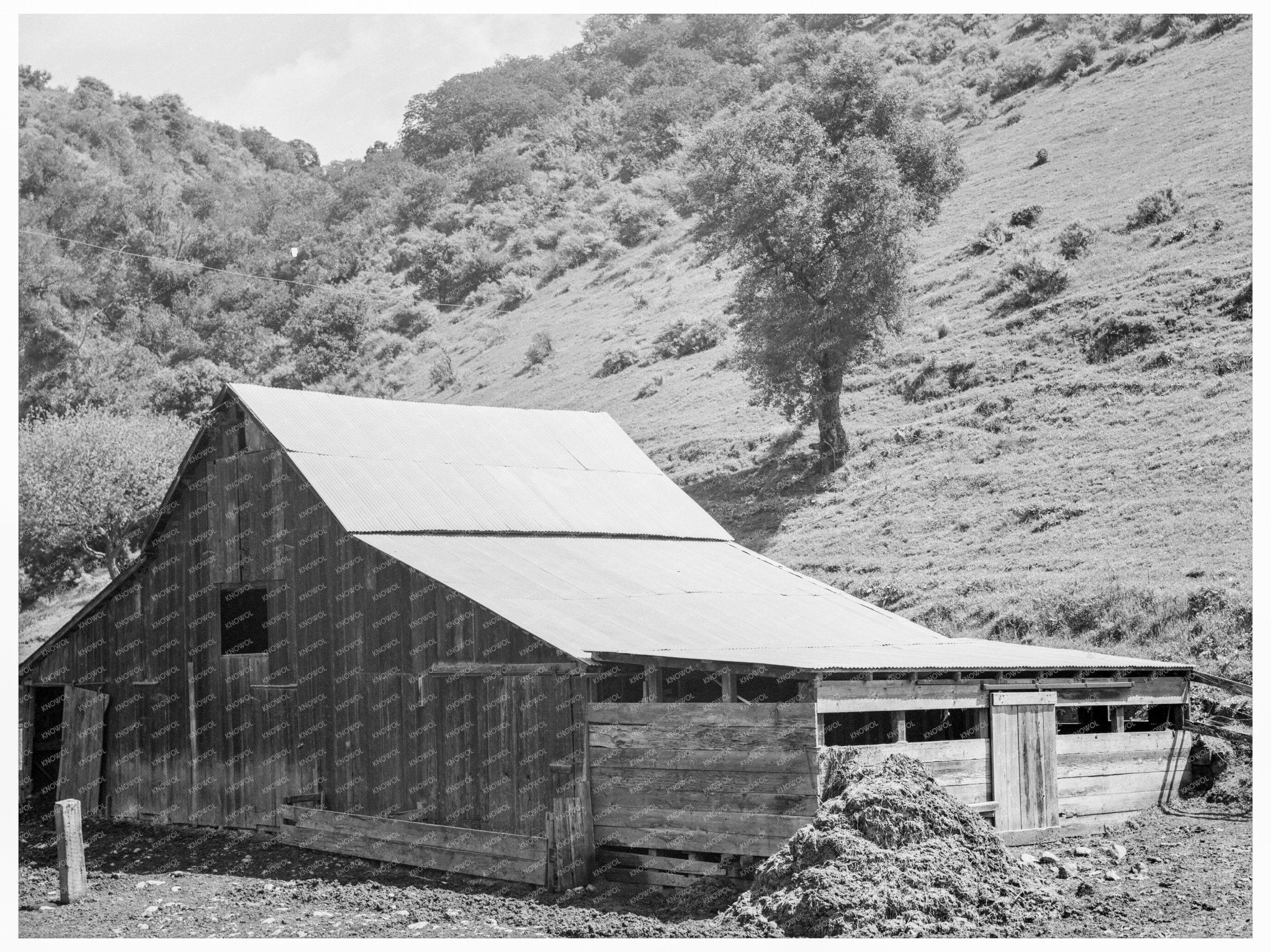 Barn in Valley near Mission San Jose California 1939 - Available at KNOWOL