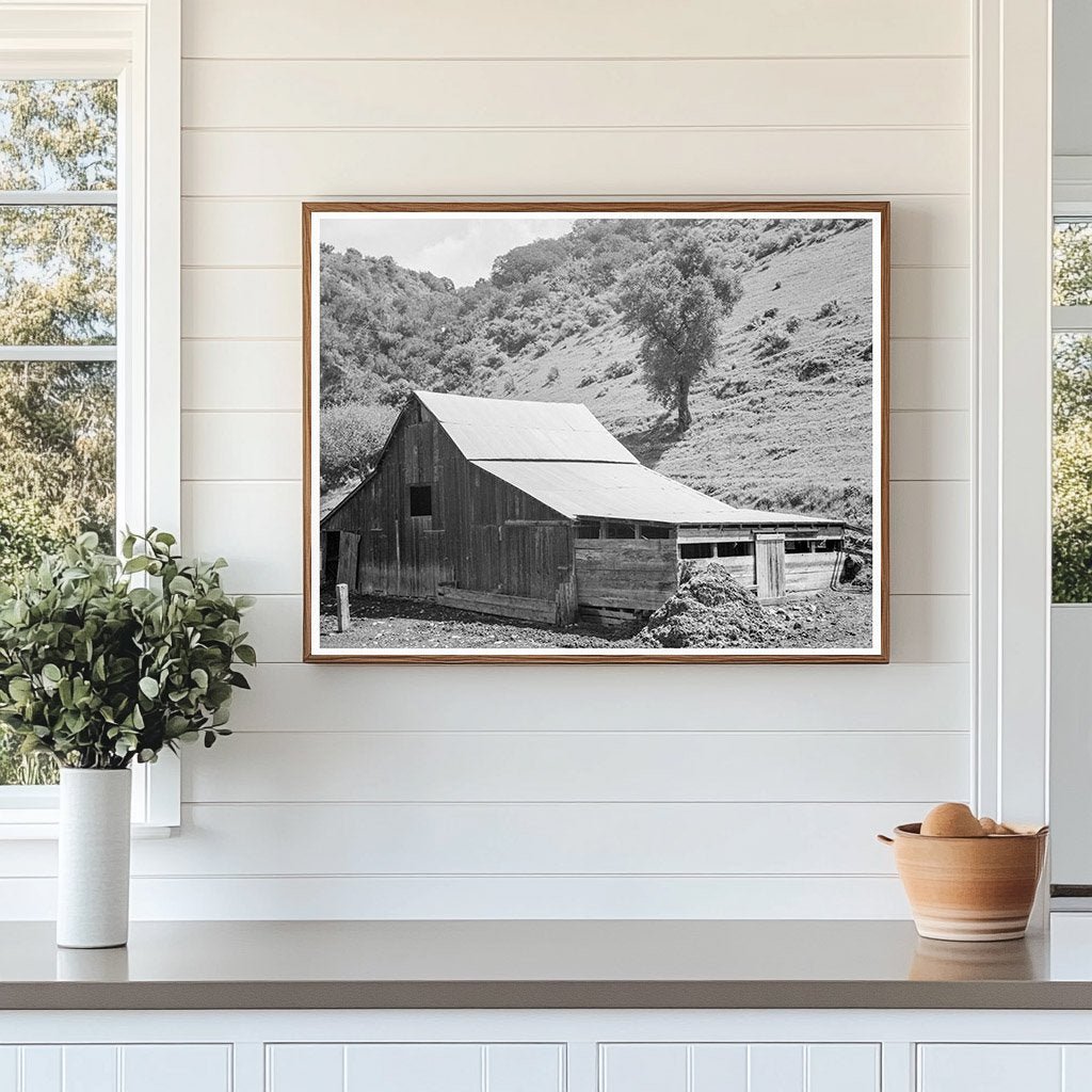 Barn in Valley near Mission San Jose California 1939 - Available at KNOWOL