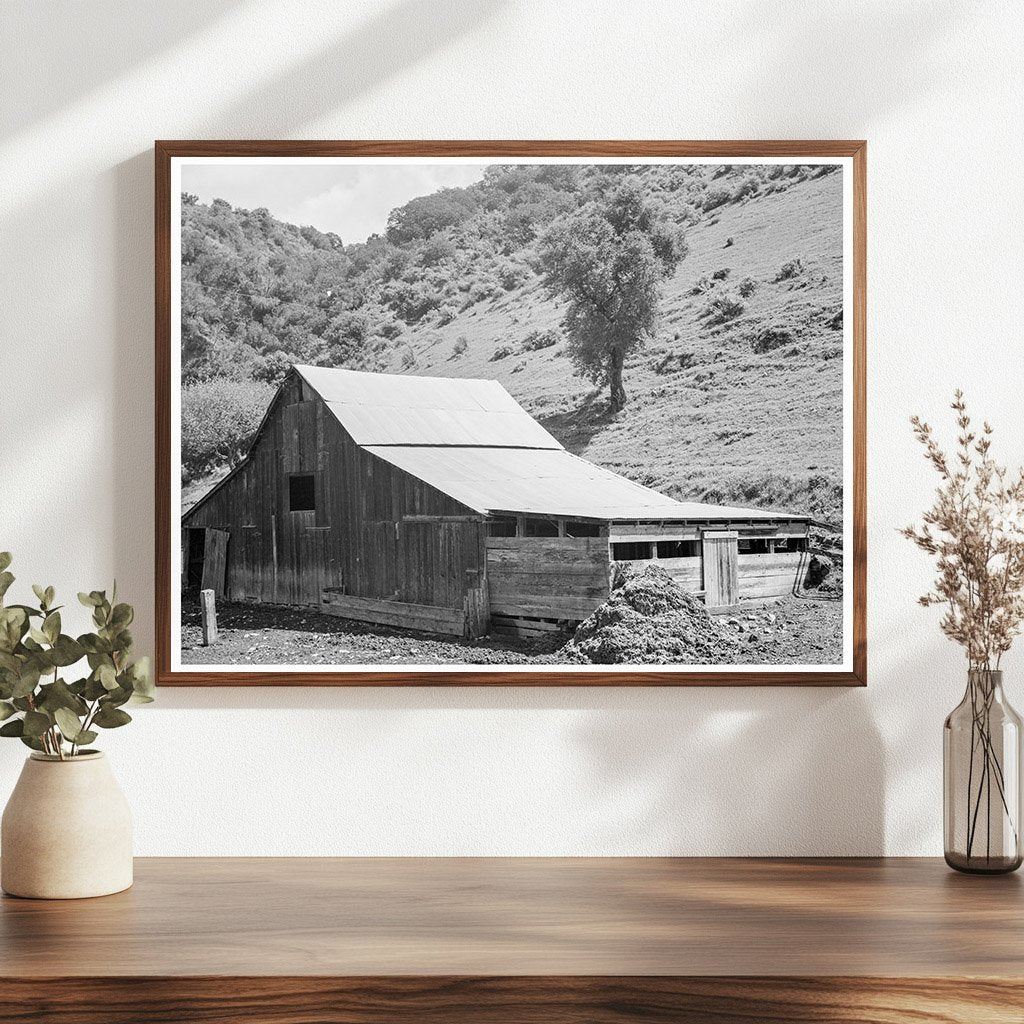 Barn in Valley near Mission San Jose California 1939 - Available at KNOWOL