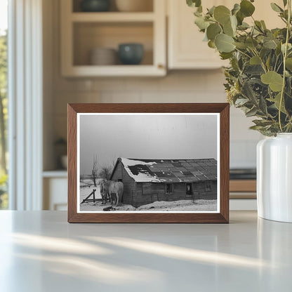 Barn on Joe Beving Farm Dickens Iowa December 1936 - Available at KNOWOL