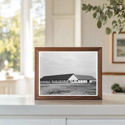 Barn on Sunflower Plantation Merigold Mississippi 1939 - Available at KNOWOL