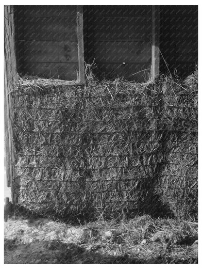 Barn Repairs at Rustan Brothers Farm December 1936 - Available at KNOWOL