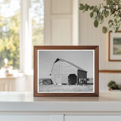 Barn Scene with Farmer and Livestock Arkansas 1938 - Available at KNOWOL