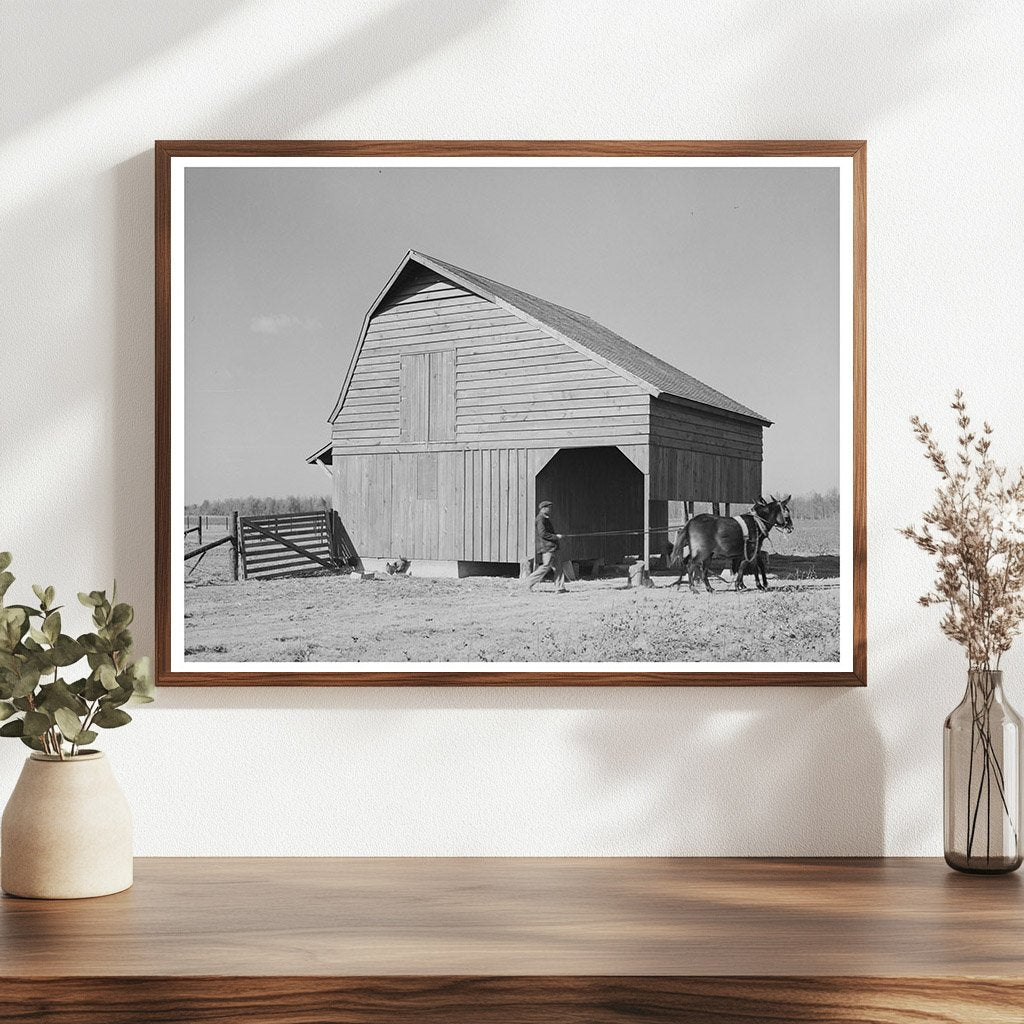 Barn Scene with Farmer and Livestock Arkansas 1938 - Available at KNOWOL