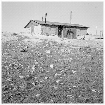 Basement Dugout House Roberts Farm Oregon 1939 - Available at KNOWOL