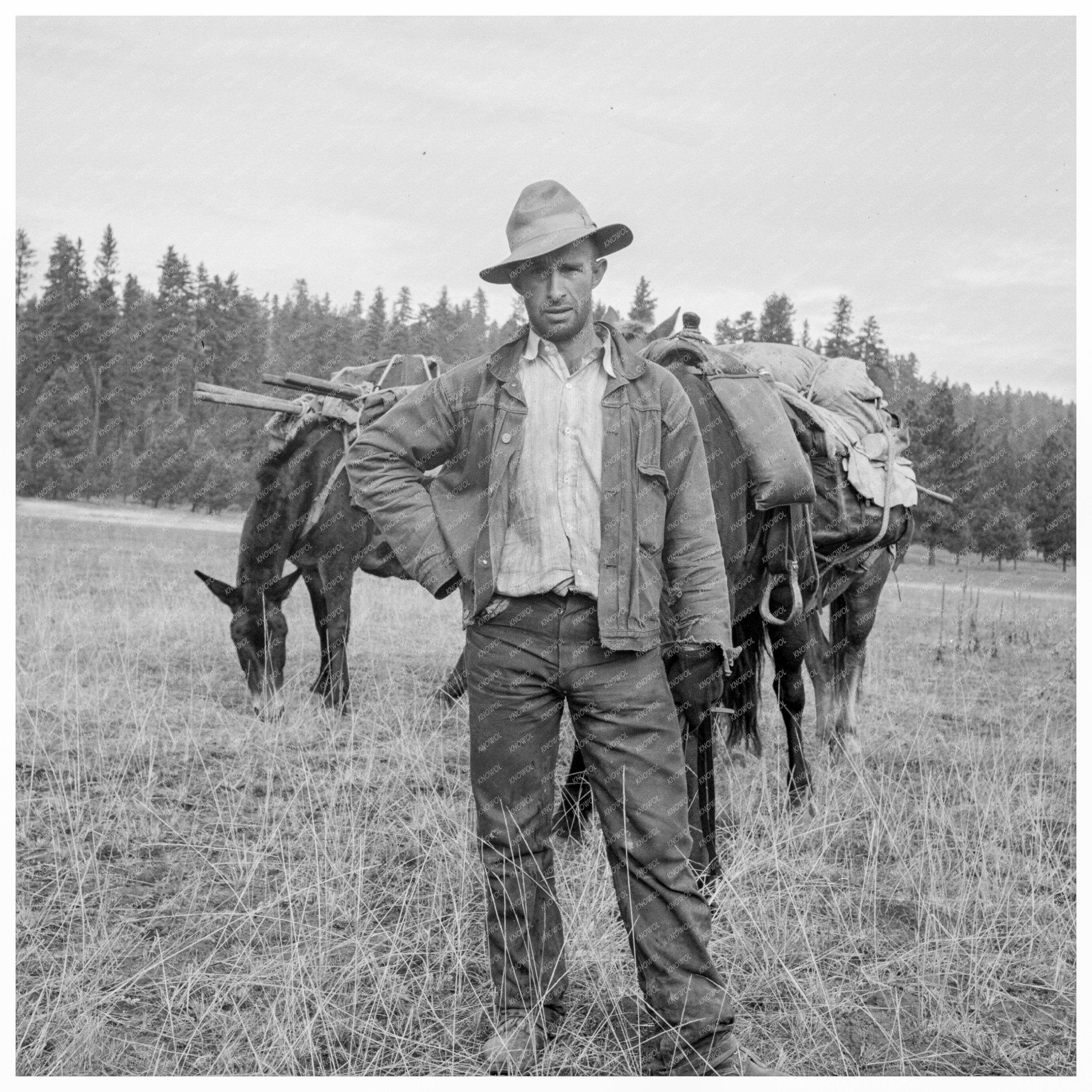 Basque Sheep Herder in Idaho October 1939 - Available at KNOWOL