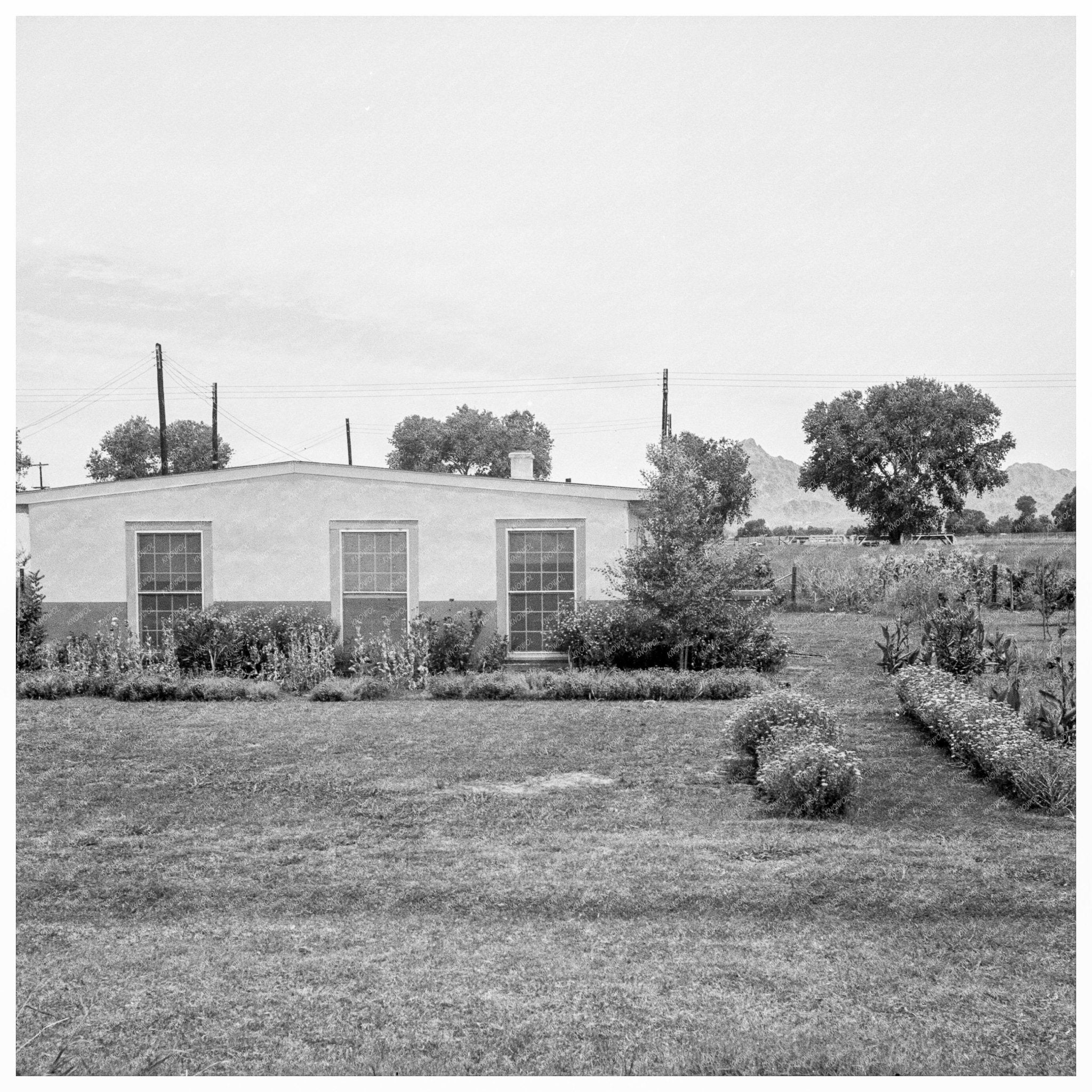 Baxter Arizona Part - Time Farms Project Home 1938 - Available at KNOWOL