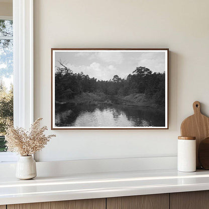 Bayou Trees and Moss Houston Texas October 1939 - Available at KNOWOL