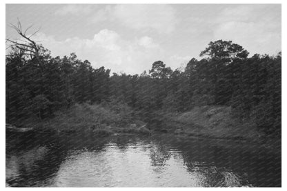 Bayou Trees and Moss Houston Texas October 1939 - Available at KNOWOL