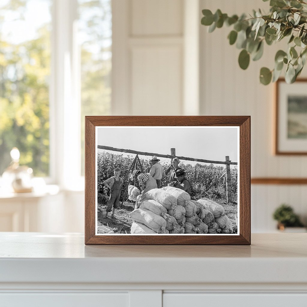 Bean Pickers and Weigh Scales in Oregon August 1939 - Available at KNOWOL