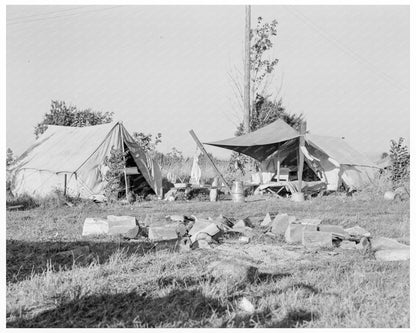 Bean Pickers Camp Marion County Oregon 1939 - Available at KNOWOL