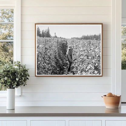 Bean Pickers Harvesting in Marion County Oregon 1939 - Available at KNOWOL