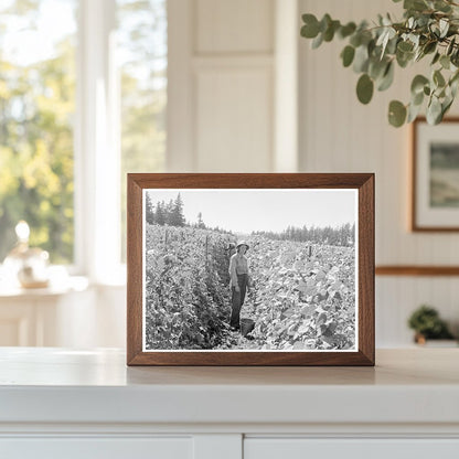 Bean Pickers Harvesting in Oregon August 1939 - Available at KNOWOL