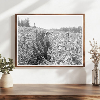 Bean Pickers Harvesting in Oregon August 1939 - Available at KNOWOL