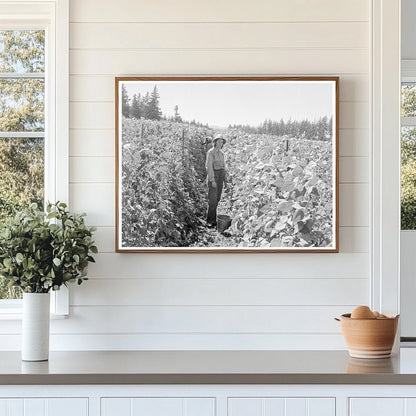 Bean Pickers Harvesting in Oregon August 1939 - Available at KNOWOL