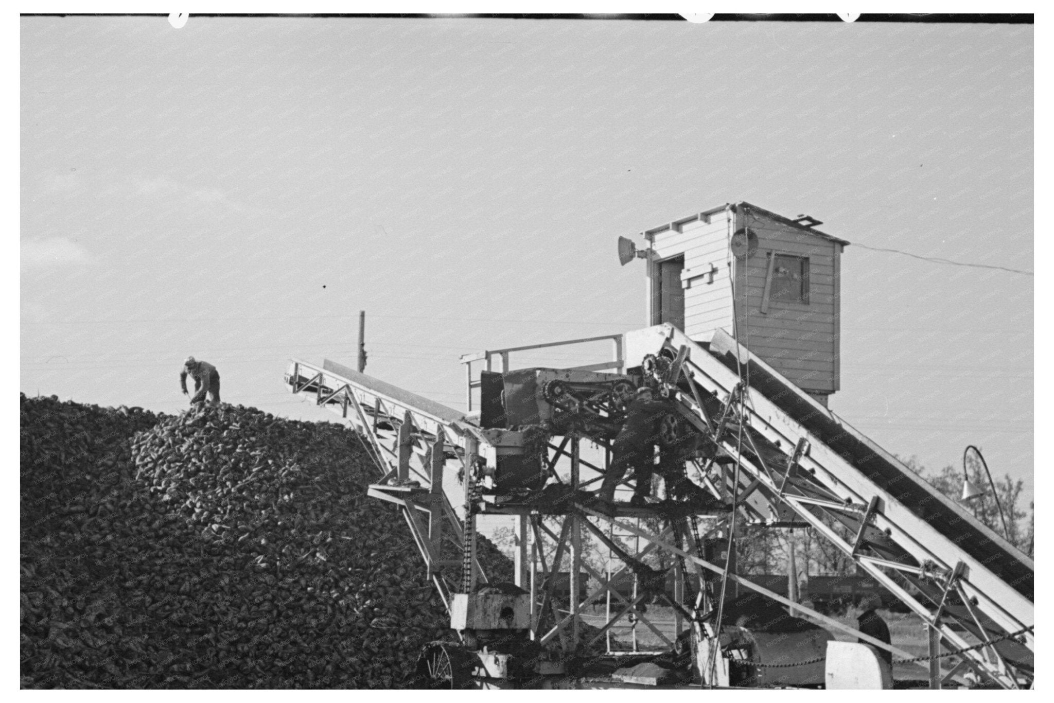 Beet Unloading Machine East Grand Forks October 1937 - Available at KNOWOL