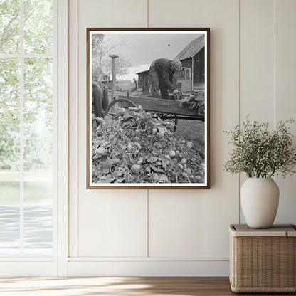 Beet Unloading Machine in East Grand Forks 1937 - Available at KNOWOL