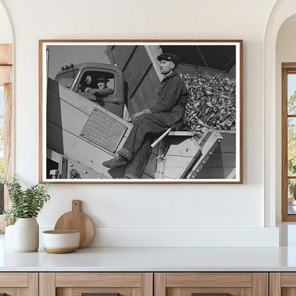 Beet Unloading Machine Worker East Grand Forks 1937 - Available at KNOWOL